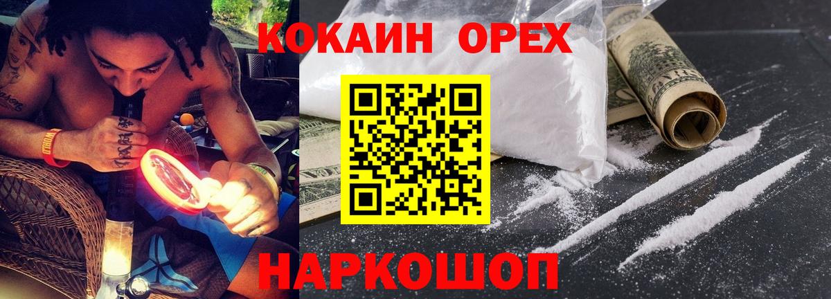 ГАШ Новороссийск