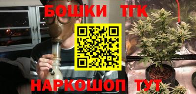гидропоника Славгород
