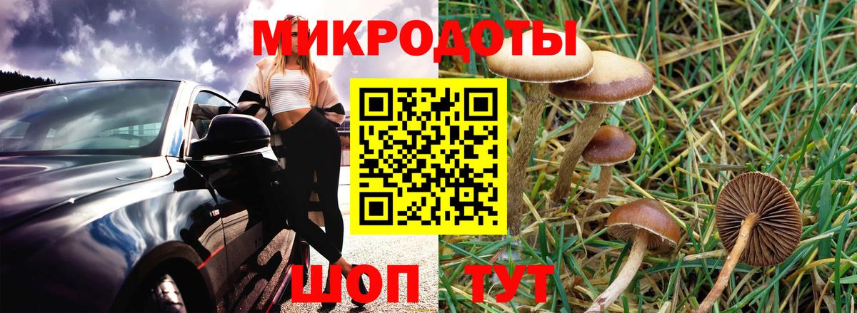 Псилоцибиновые грибы Magic Shrooms  Галлюциногенные грибы Magic Shrooms  Новороссийск  Вход с VPN 